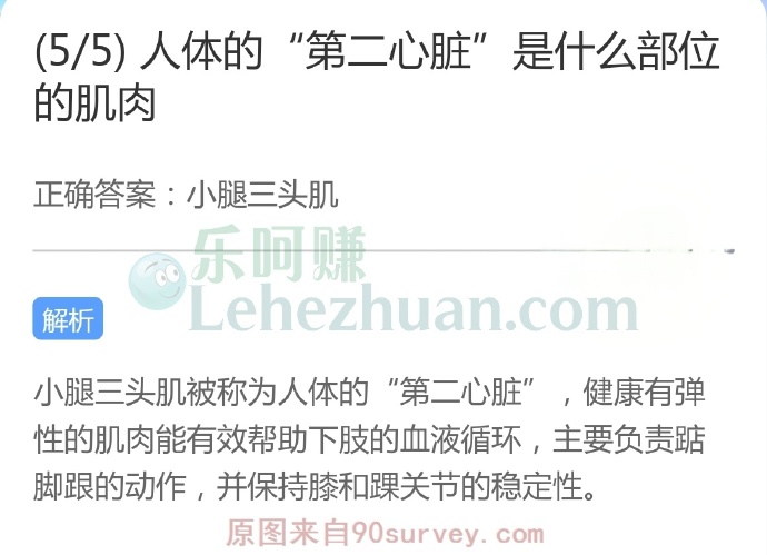 人体的“第二心脏”是什么部位的肌肉?