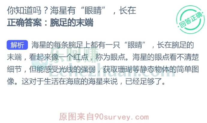 你知道海星的眼睛长在哪里吗?