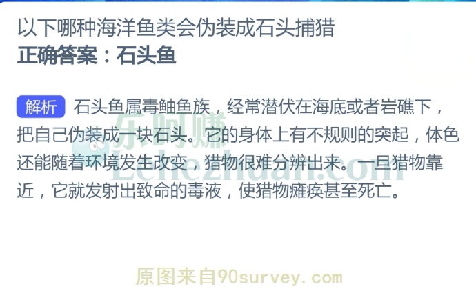 以下哪种海洋鱼类会伪装成石头捕猎?