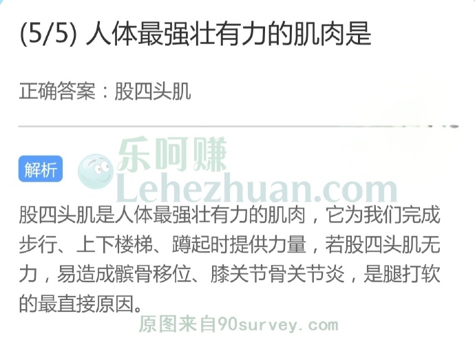 人体最强壮有力的肌肉是?