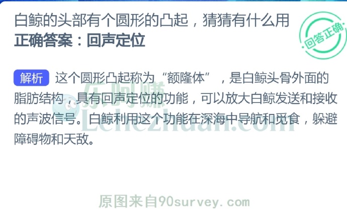 白鲸的头部有个圆形的凸起,猜猜有什么用?