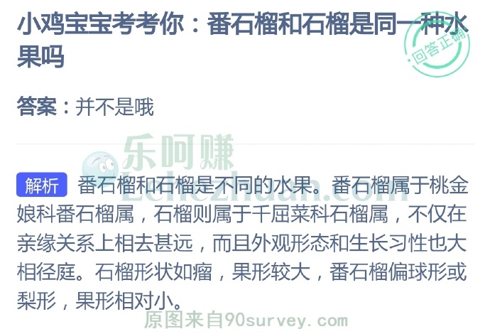 番石榴和石榴是同一种果吗?