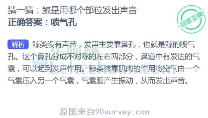 鲸是用哪个部位发出声音?