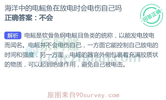 海洋中的电鳐鱼在放电时会电伤自己吗?