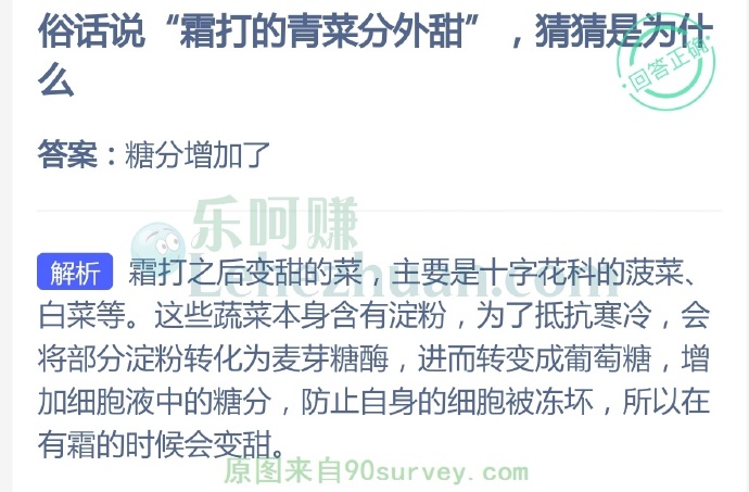 俗话说“霜打的青菜分外甜”,猜猜是为什么?