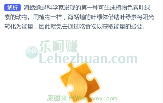 科学家发现的第一种可以生成叶绿素的动物是?