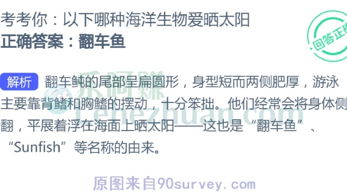 以下哪种海洋生物爱晒太阳?