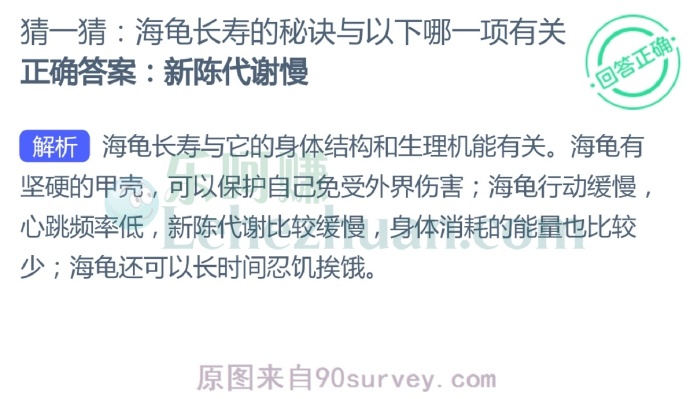 海龟长寿的秘诀与以下哪一项有关?