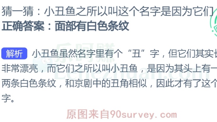 小丑鱼之所以叫这个名字是因为?