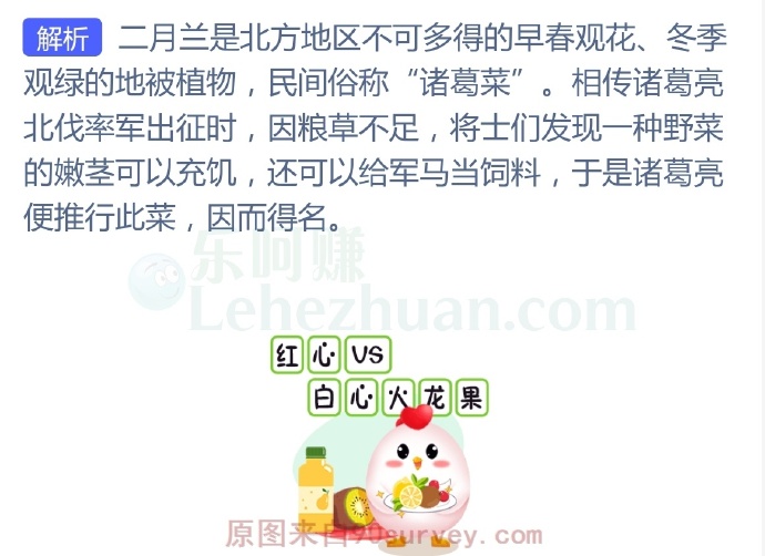 民间俗称“诸葛菜”的春季常见植物是?