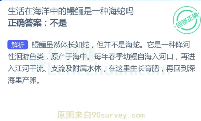 生活在海洋中的鳗鲡是一种海蛇吗?