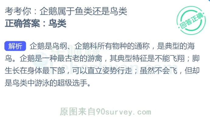 企鹅属于鱼类还是鸟类?