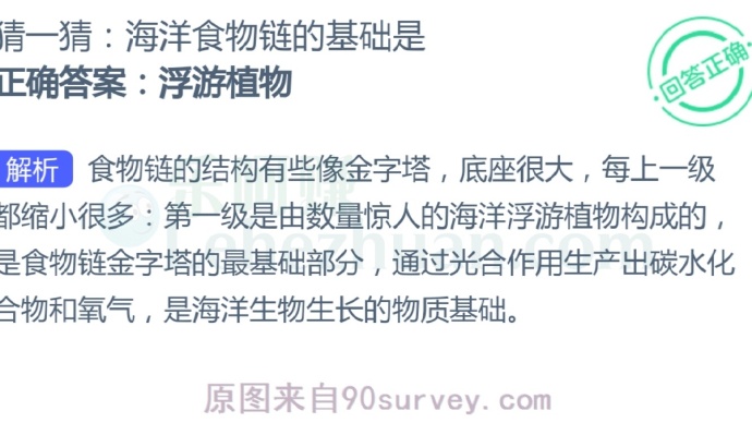 海洋食物链的基础是?