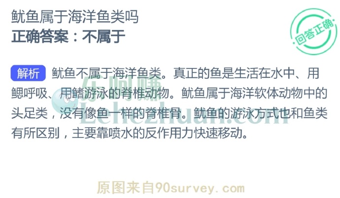 鱿鱼属于海洋鱼类吗?