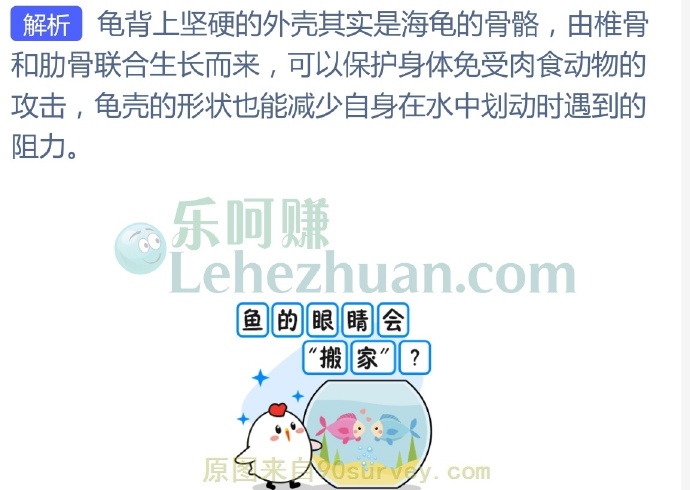 海龟的龟壳实际上是它的?
