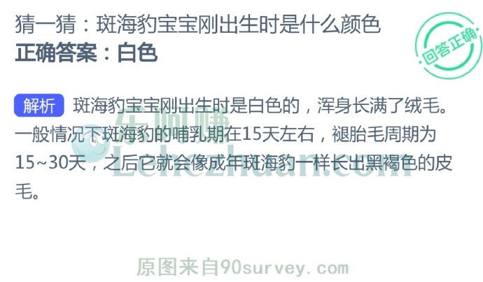 斑海豹宝宝刚出生时是什么颜色?