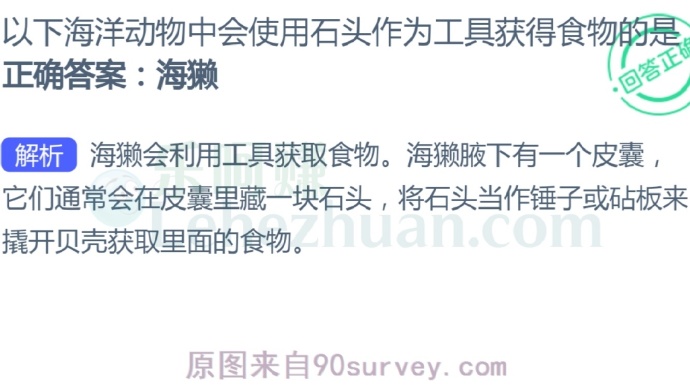 以下海洋动物中会使用石头作为工具获得食物的是?