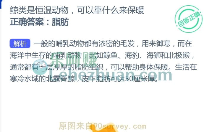 鲸类是恒温动物,可以靠什么来保暖?