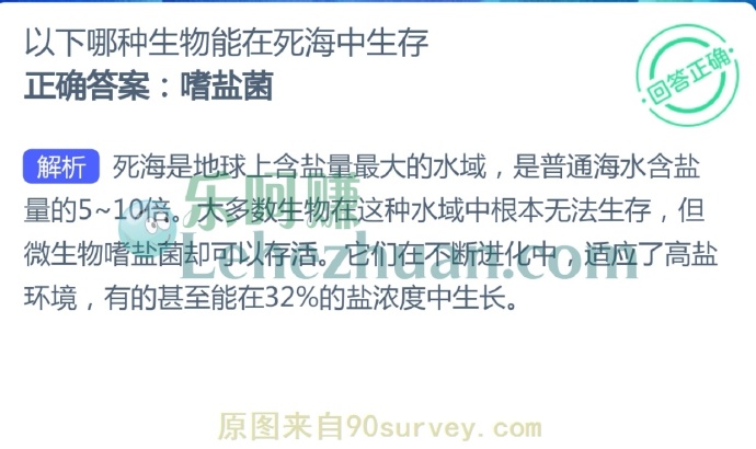 以下哪种生物能在死海中生存?