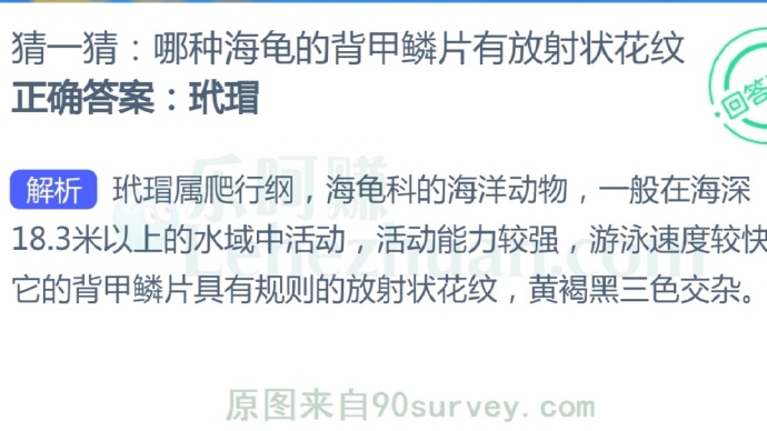 哪种海龟的背甲鳞片有放射状花纹?