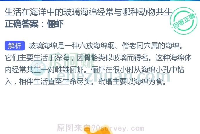 生活在海洋中的玻璃海绵经常与哪种动物共生?