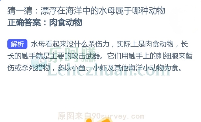 漂浮在海洋中的水母属于哪种动物?