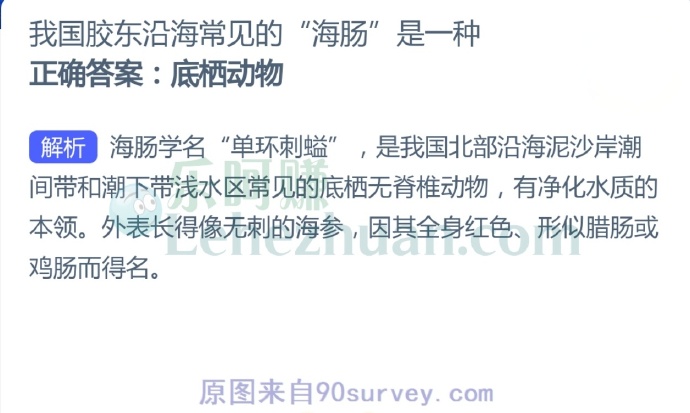 我国胶东沿海常见的“海肠”是一种?
