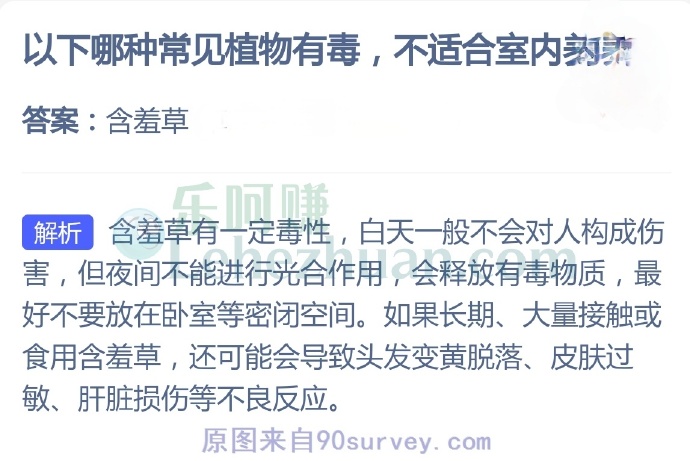 以下哪种常见植物有毒,不适合室内养殖?