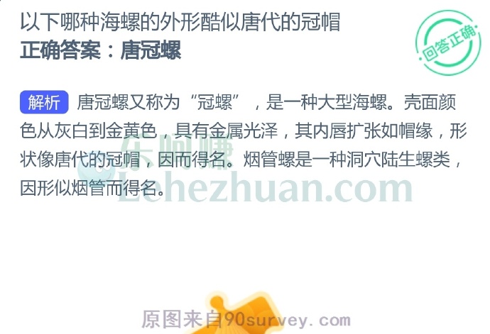 以下哪种海螺的外形酷似唐代的冠帽?