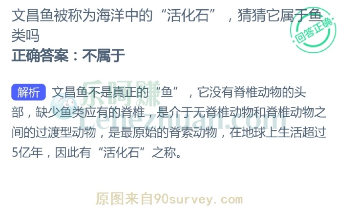 文昌鱼被称为海洋中的“活化石”,猜猜它属于鱼类吗?