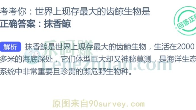 世界上现存最大的齿鲸生物是?