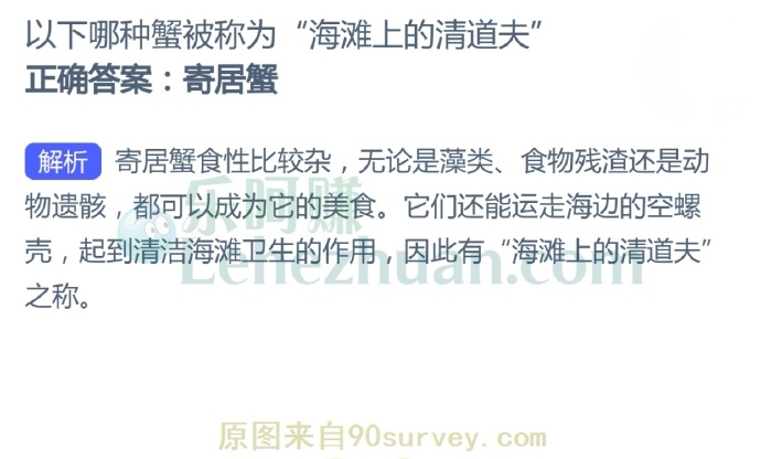 以下哪种蟹被称为“海滩上的清道夫”?