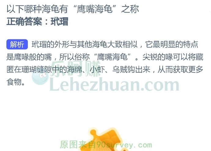 以下哪种海龟有“鹰嘴海龟”之称?