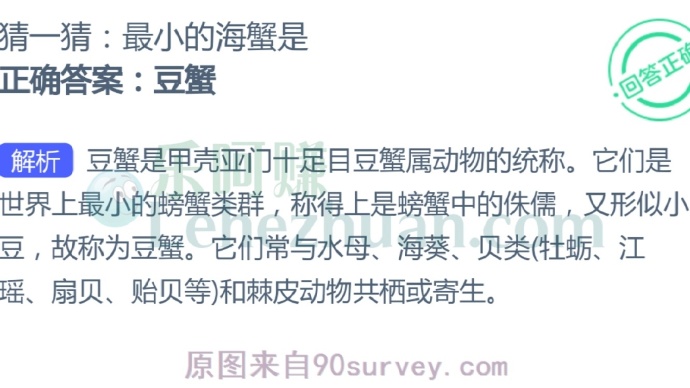 最小的海蟹是?