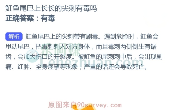魟鱼尾巴上长长的尖刺有毒吗?