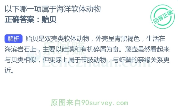 以下哪一项属于海洋软体动物?