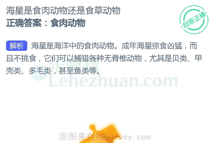 海星是食肉动物还是食草动物?