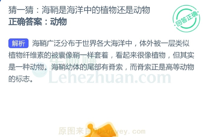 海鞘是海洋中的植物还是动物?