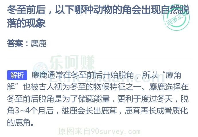 冬至前后,以下哪种动物的角会出现自然脱落的现象?