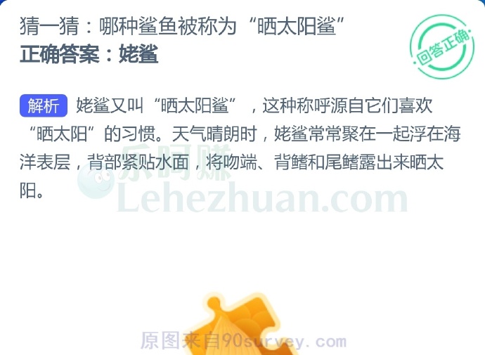 哪种鲨鱼被称为“晒太阳鲨”?