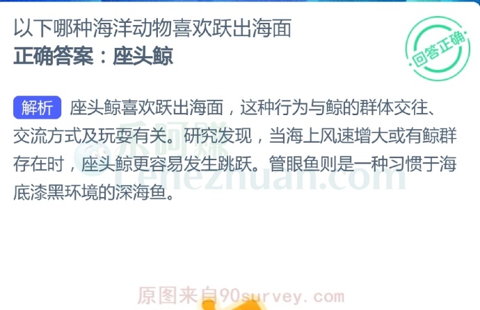 以下哪种海洋动物喜欢跃出海面?