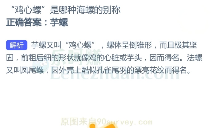 鸡心螺是哪种海螺的别称?