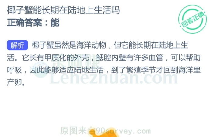 椰子蟹能长期在陆地上生活吗?
