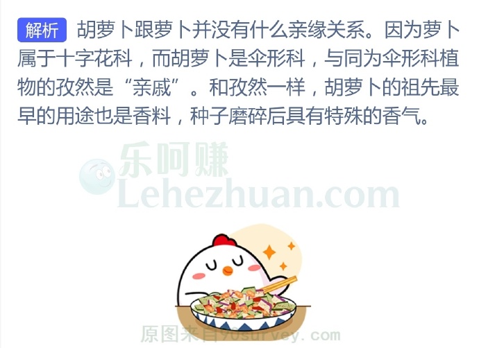 以下哪个是胡萝卜的“亲戚”?
