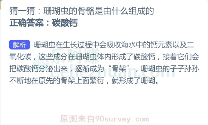 珊瑚虫的骨骼是由什么组成的?