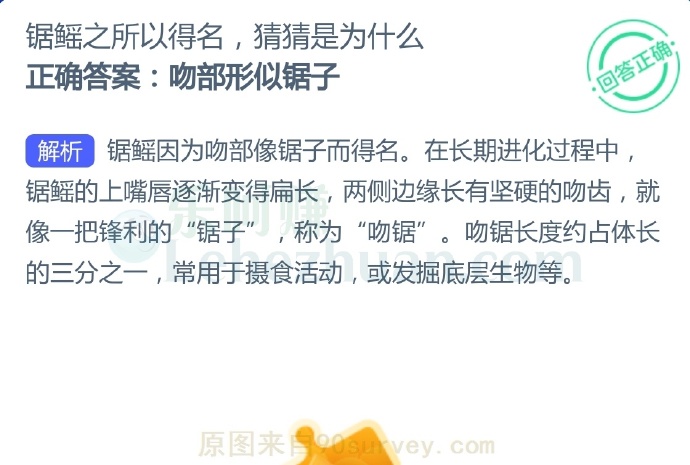 锯鳐之所以得名,猜猜是为什么?