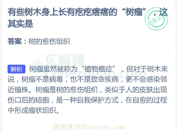 有些树木身上长有疙疙瘩瘩的“树瘤”其实是?