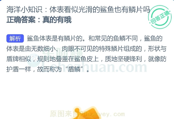 体表看似光滑的鲨鱼也有鳞片吗?