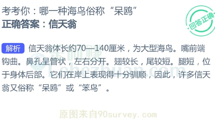 哪一种海鸟俗称“呆鸥”?