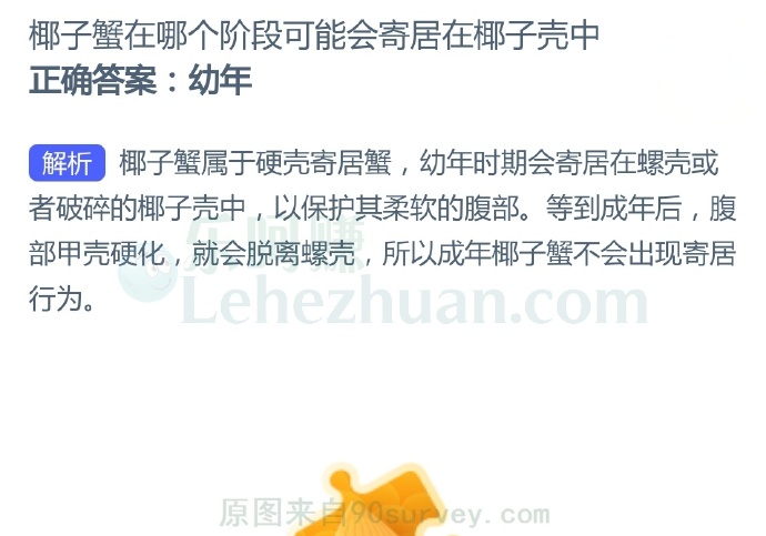椰子蟹在哪个阶段可能会寄居在椰子壳中?
